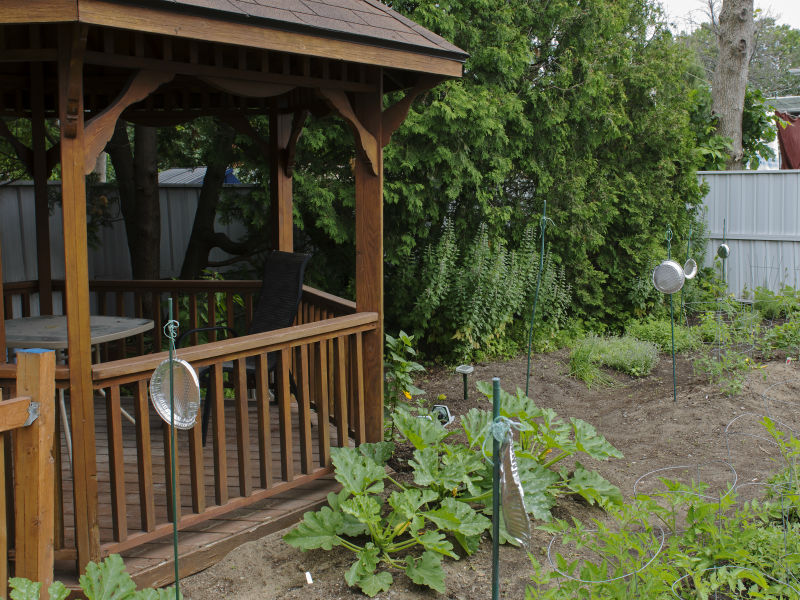 Gazebo et jardin communautaire au 1704 St-Georges